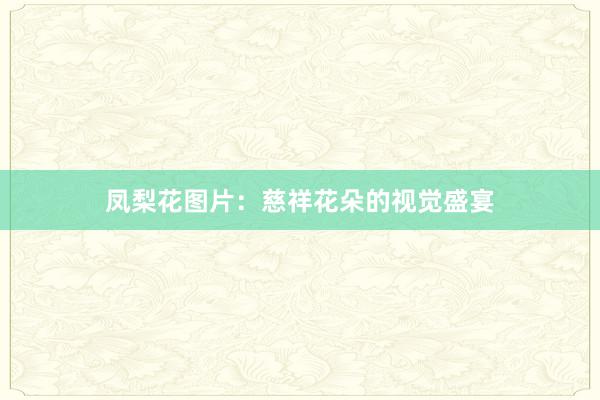 凤梨花图片：慈祥花朵的视觉盛宴