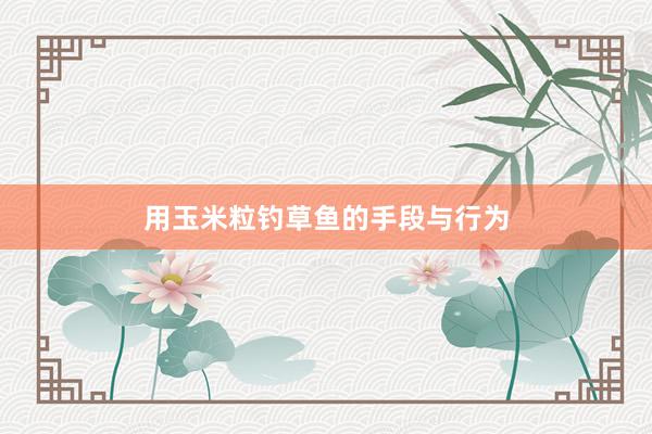 用玉米粒钓草鱼的手段与行为